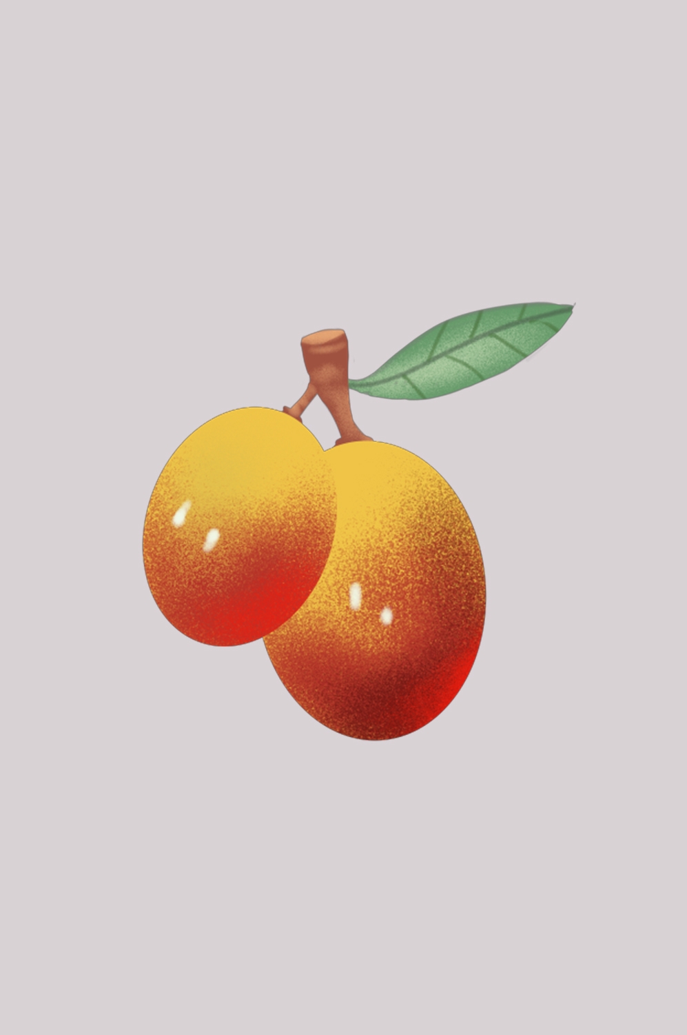 卡通手绘红枣图片素材装饰元素插画 png透明背景 (35)