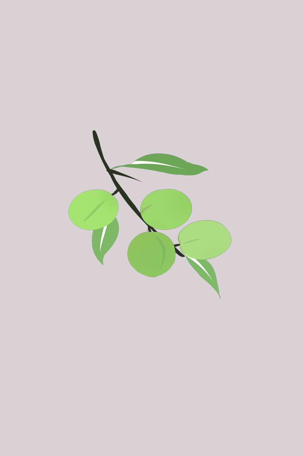 卡通手绘水果青梅图案素材图片装饰插画免抠51