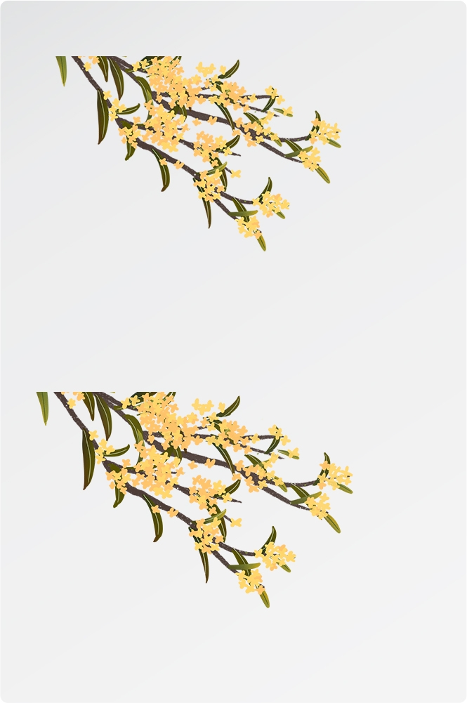 卡通手绘桂花花枝图案素材元素2