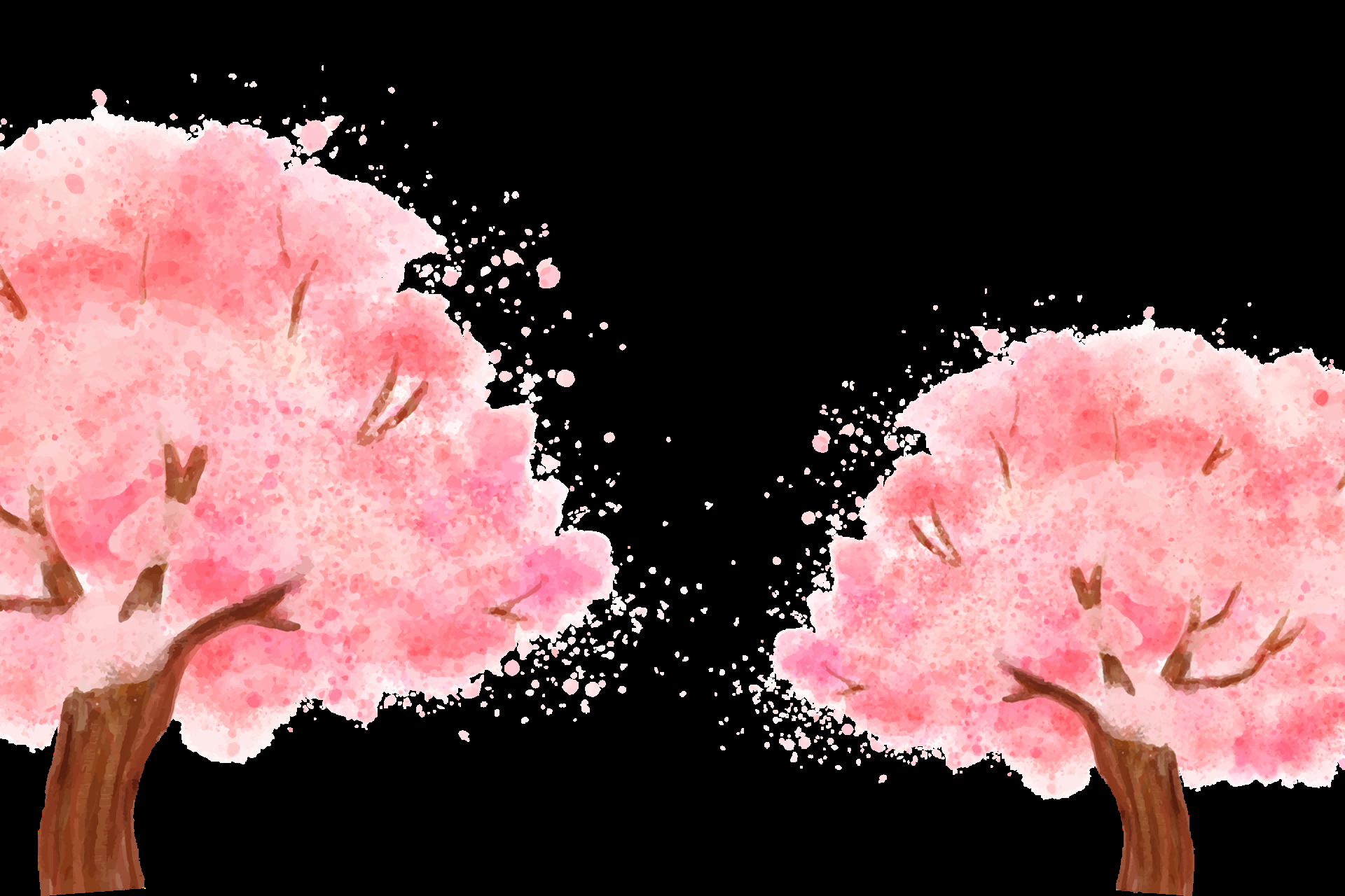 唯美樱花花树花枝樱花飘落图片装饰插图免抠35