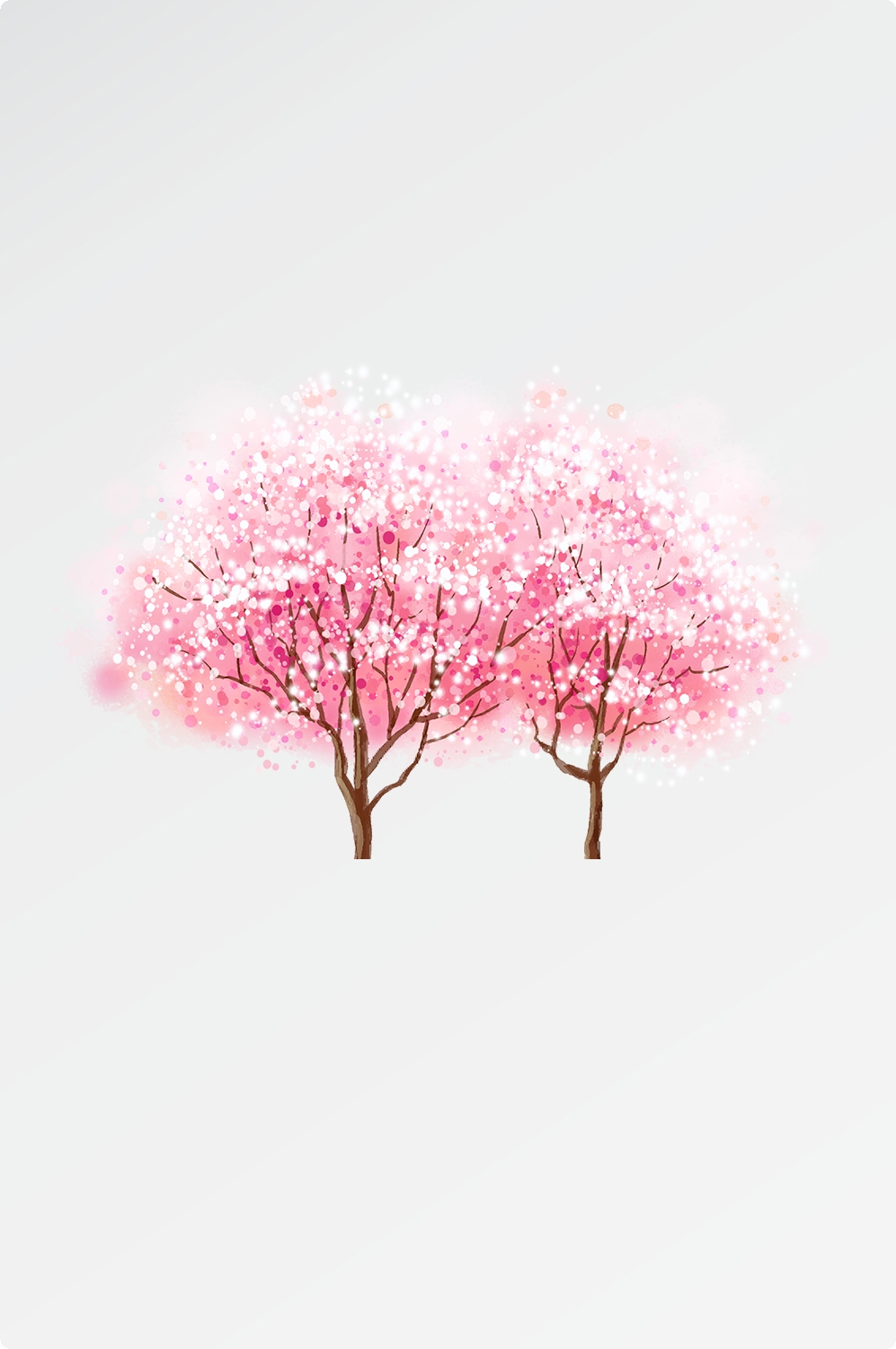 唯美樱花花树花枝樱花飘落图片装饰插图免抠7