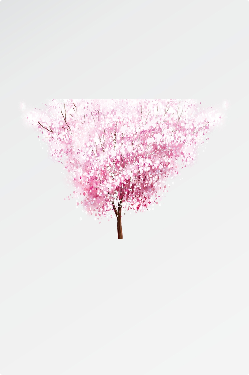 唯美樱花花树花枝樱花飘落图片装饰插图免抠31
