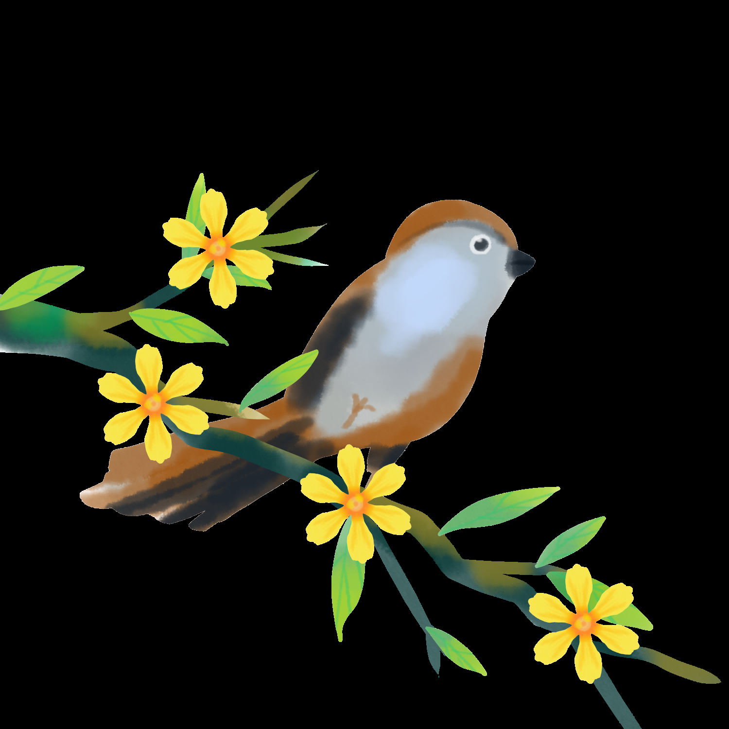 水彩手绘小鸟树枝花枝上的小鸟插画素材免抠1