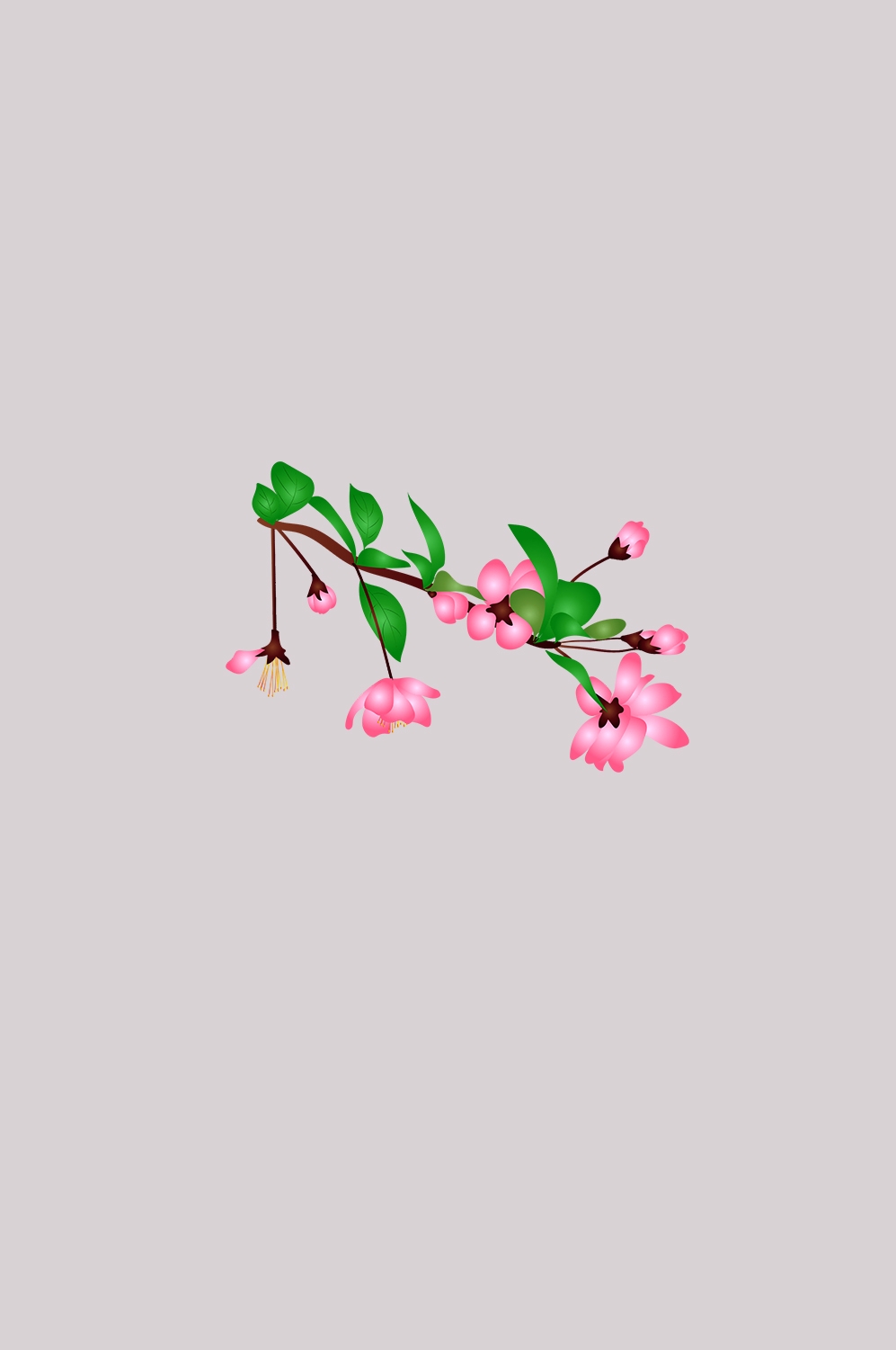 海棠花免抠元素装饰图案插画43