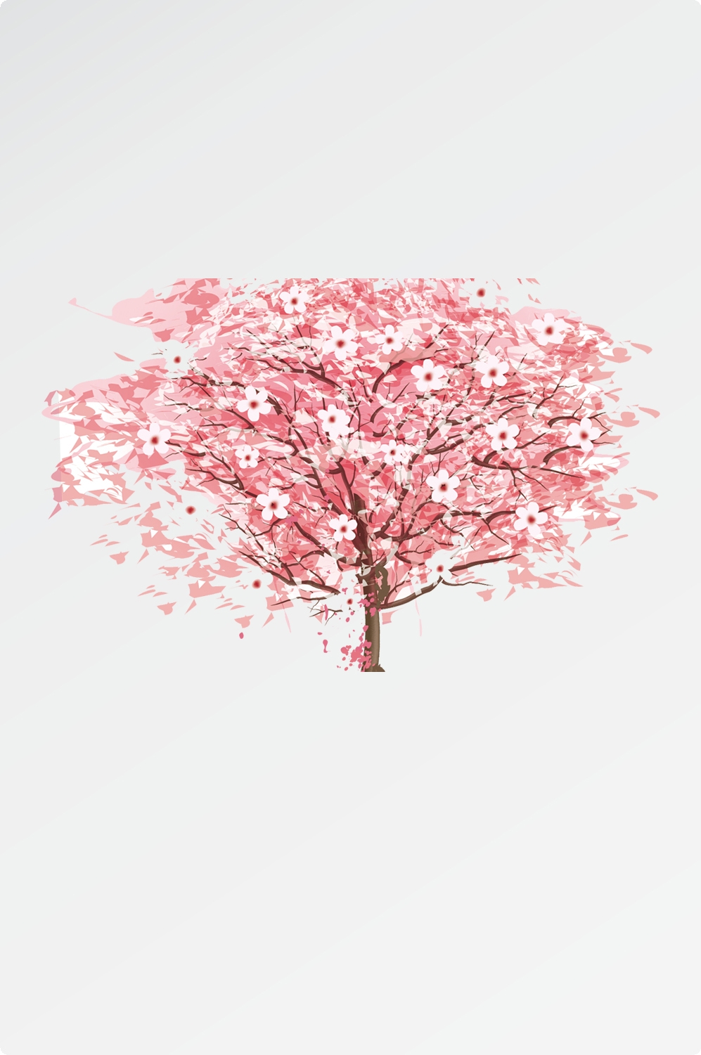 唯美樱花花树花枝樱花飘落图片装饰插图免抠1
