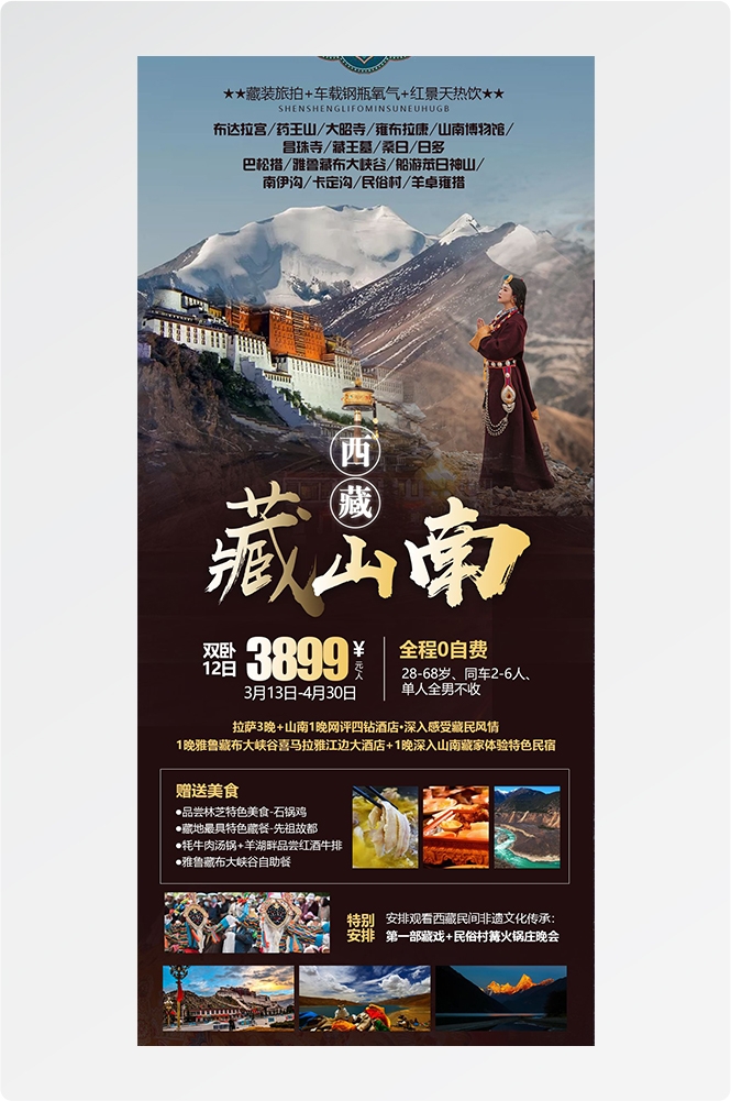 西藏拉萨布达拉宫川藏藏南灵芝日喀则海报易拉宝素材3