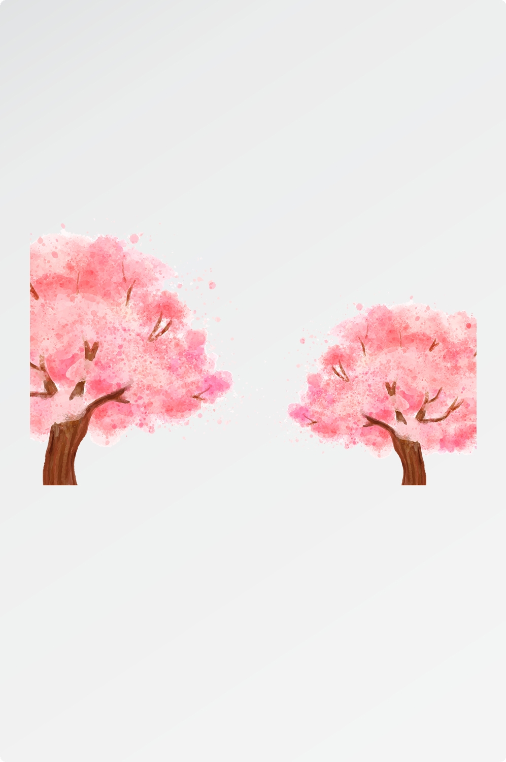 唯美樱花花树花枝樱花飘落图片装饰插图免抠35