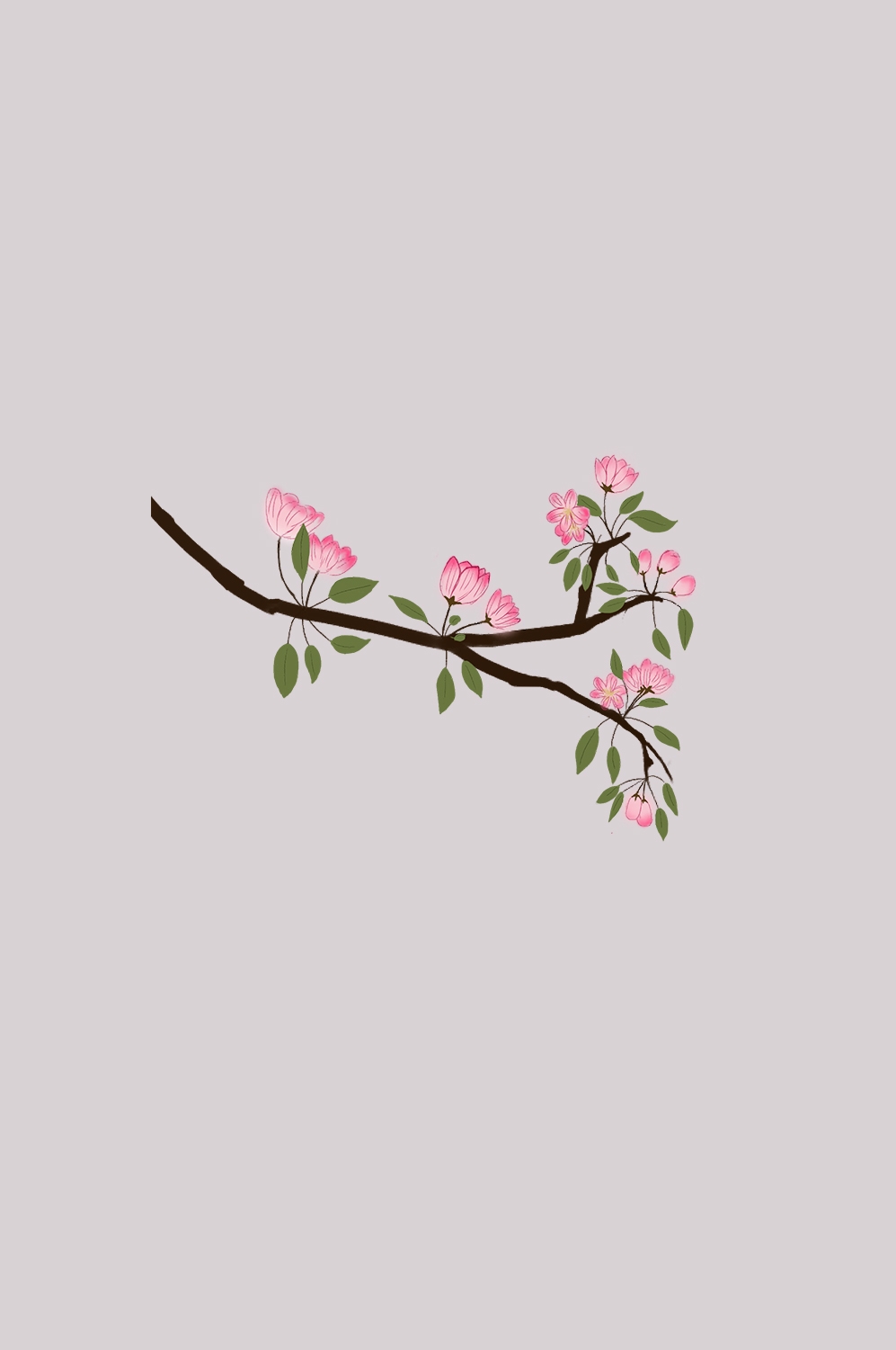 海棠花免抠元素装饰图案插画31