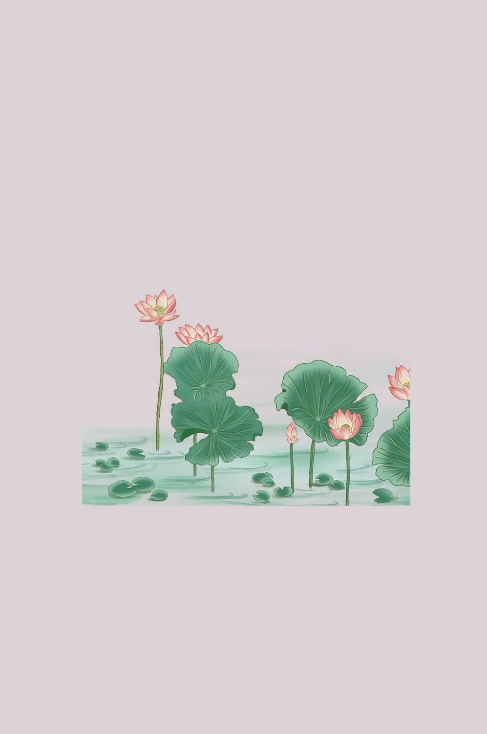 荷叶荷花素材插画装饰元素透明背景免抠素材28