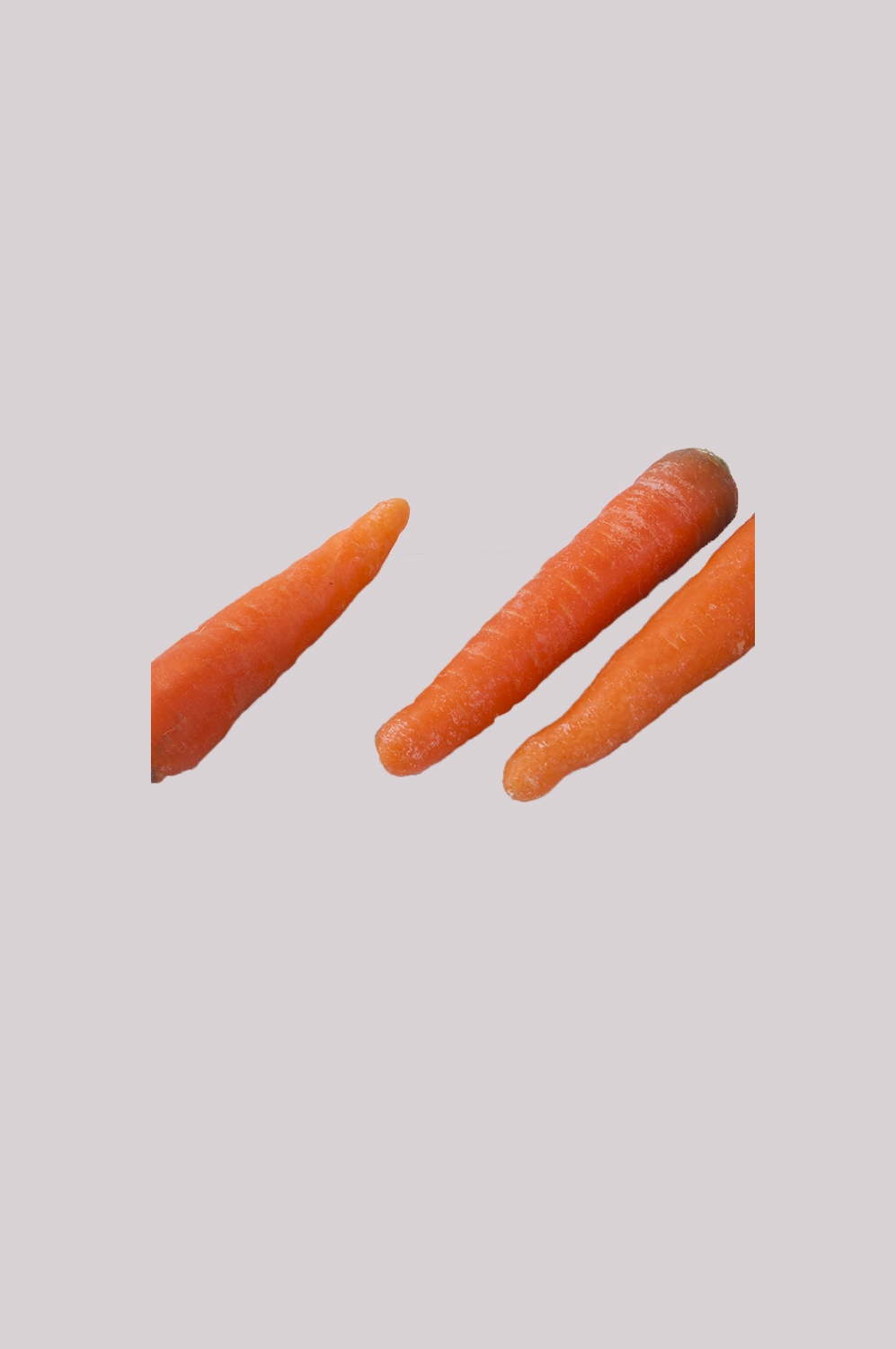 蔬菜食材切开的胡萝卜免抠元素23