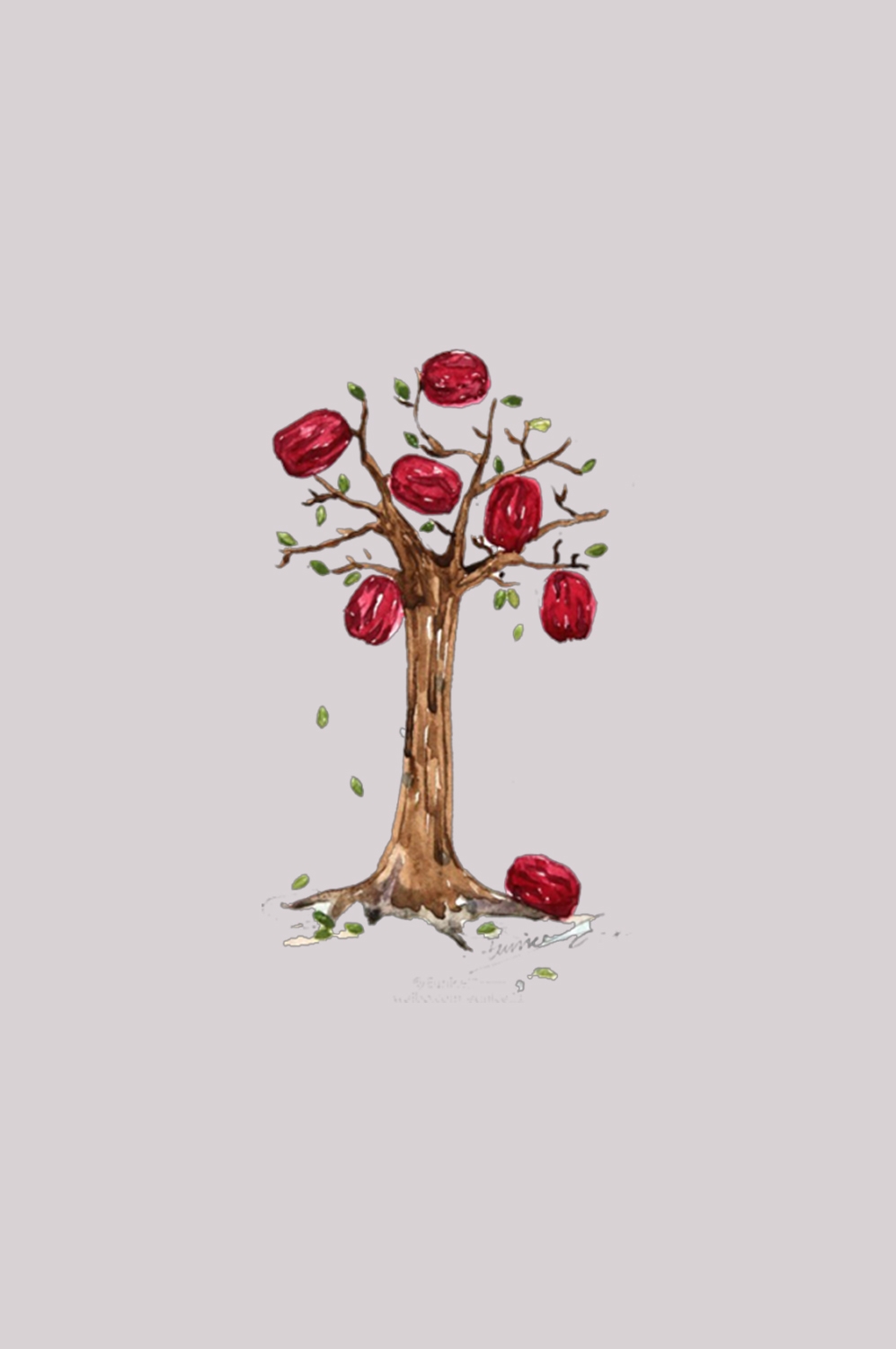 卡通手绘红枣图片素材装饰元素插画 png透明背景 (24)