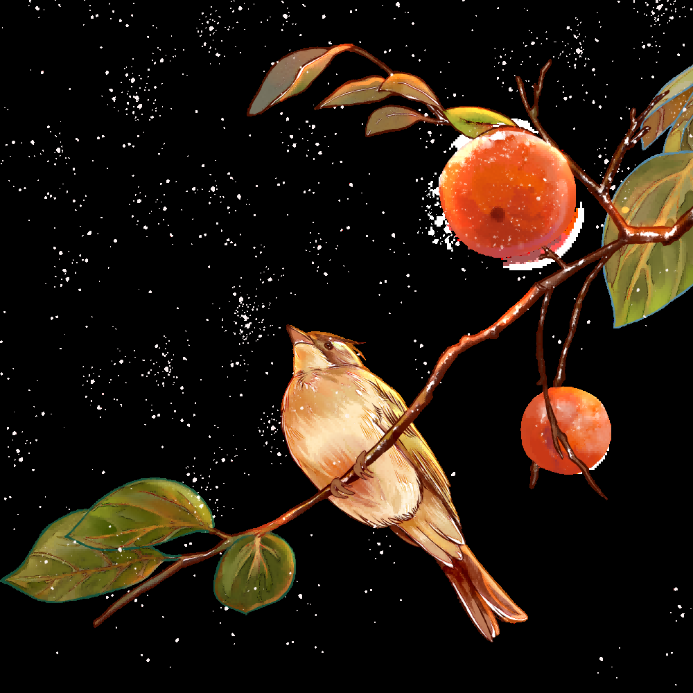 水彩手绘小鸟树枝花枝上的小鸟插画素材免抠34