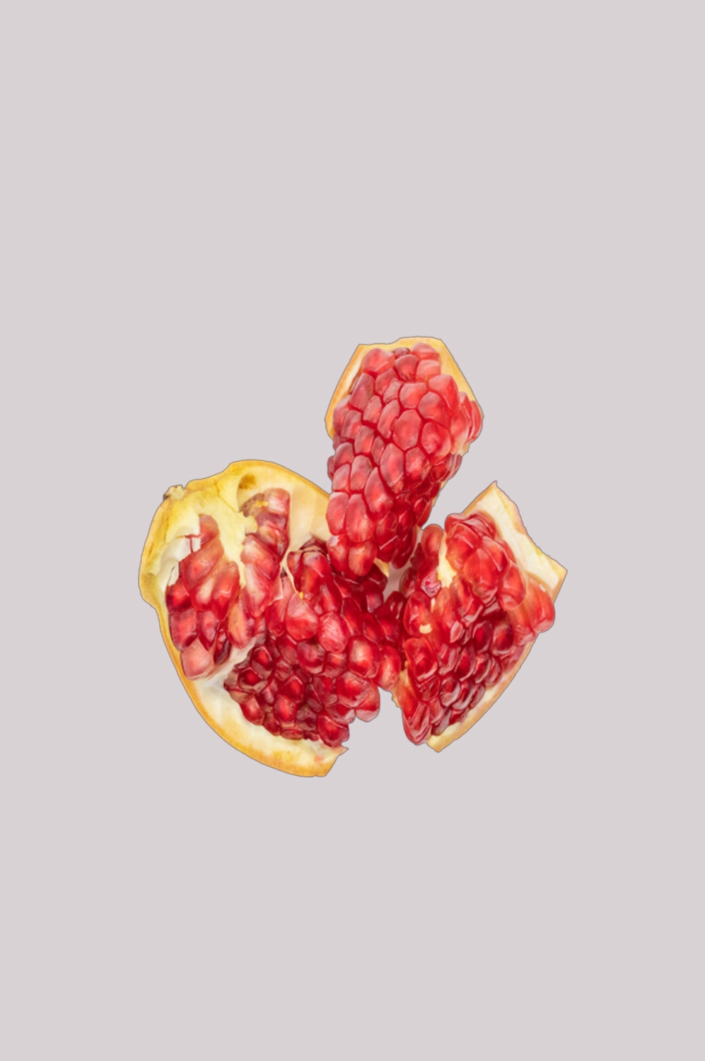石榴图片素材海报设计装饰元素插图 png透明背景图案 (74)