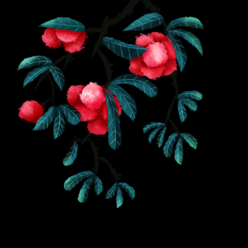 手绘荔枝图片素材装饰元素插画 png透明背景 (60)