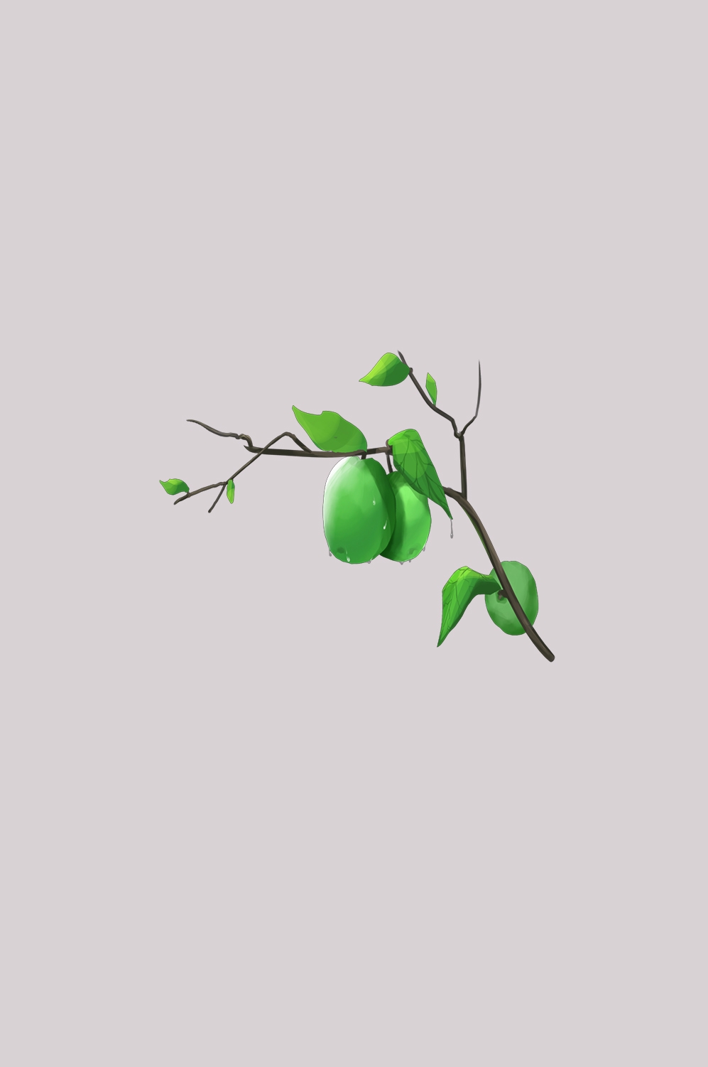 卡通手绘水果青梅图案素材图片装饰插画免抠33