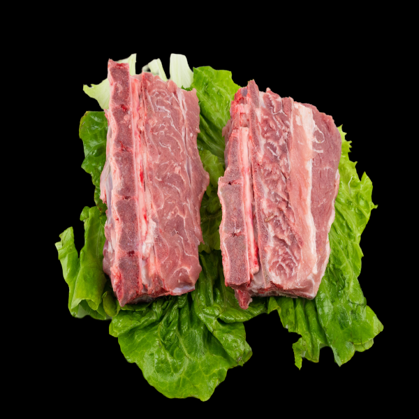 猪肉五花肉瘦肉排骨插画元素免抠素材82