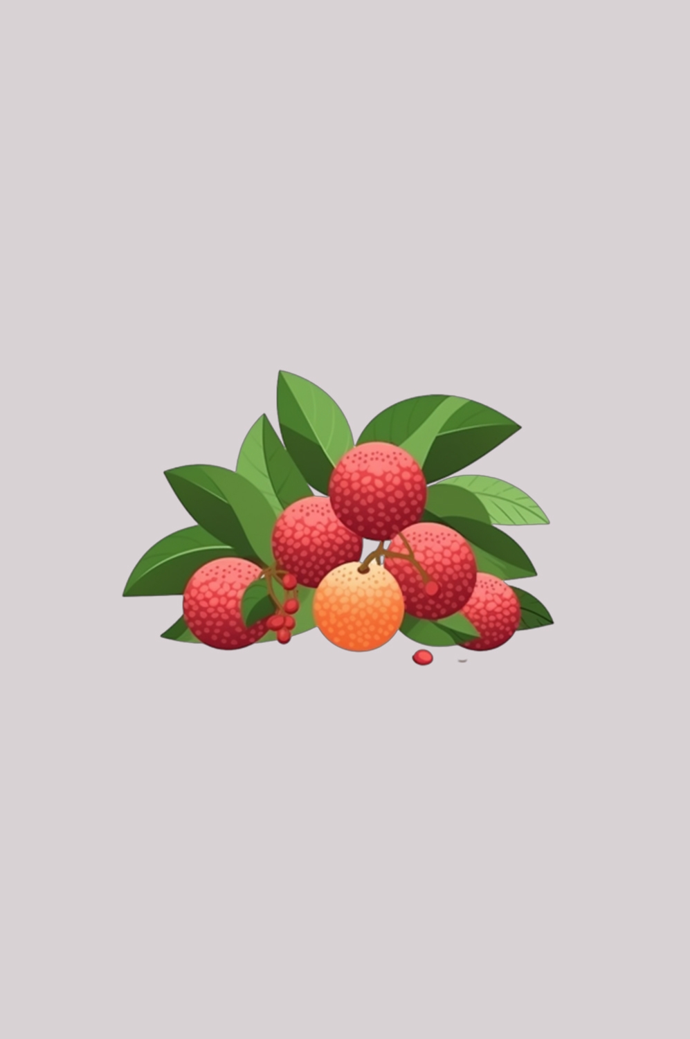 手绘荔枝图片素材装饰元素插画 png透明背景 (89)