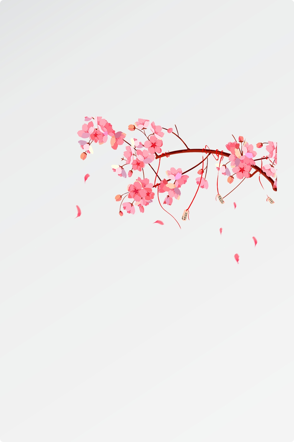 唯美樱花花树花枝樱花飘落图片装饰插图免抠54