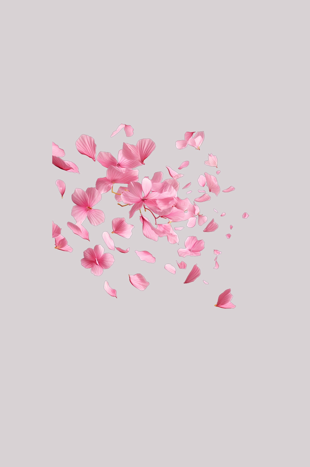 桃花素材图中国风海报设计桃树花枝透明背景89
