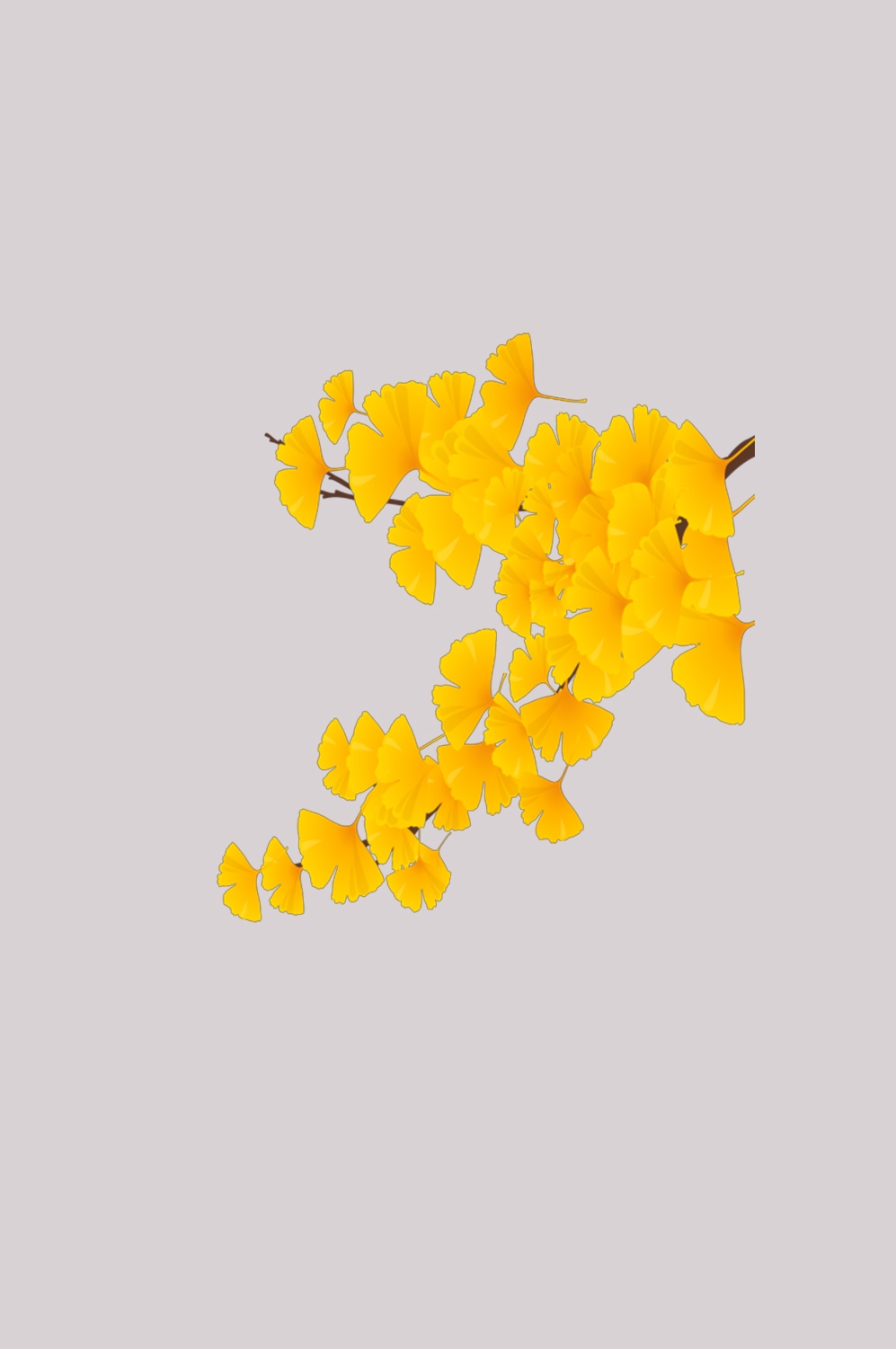 银杏叶树枝插画装饰元素免抠素材7