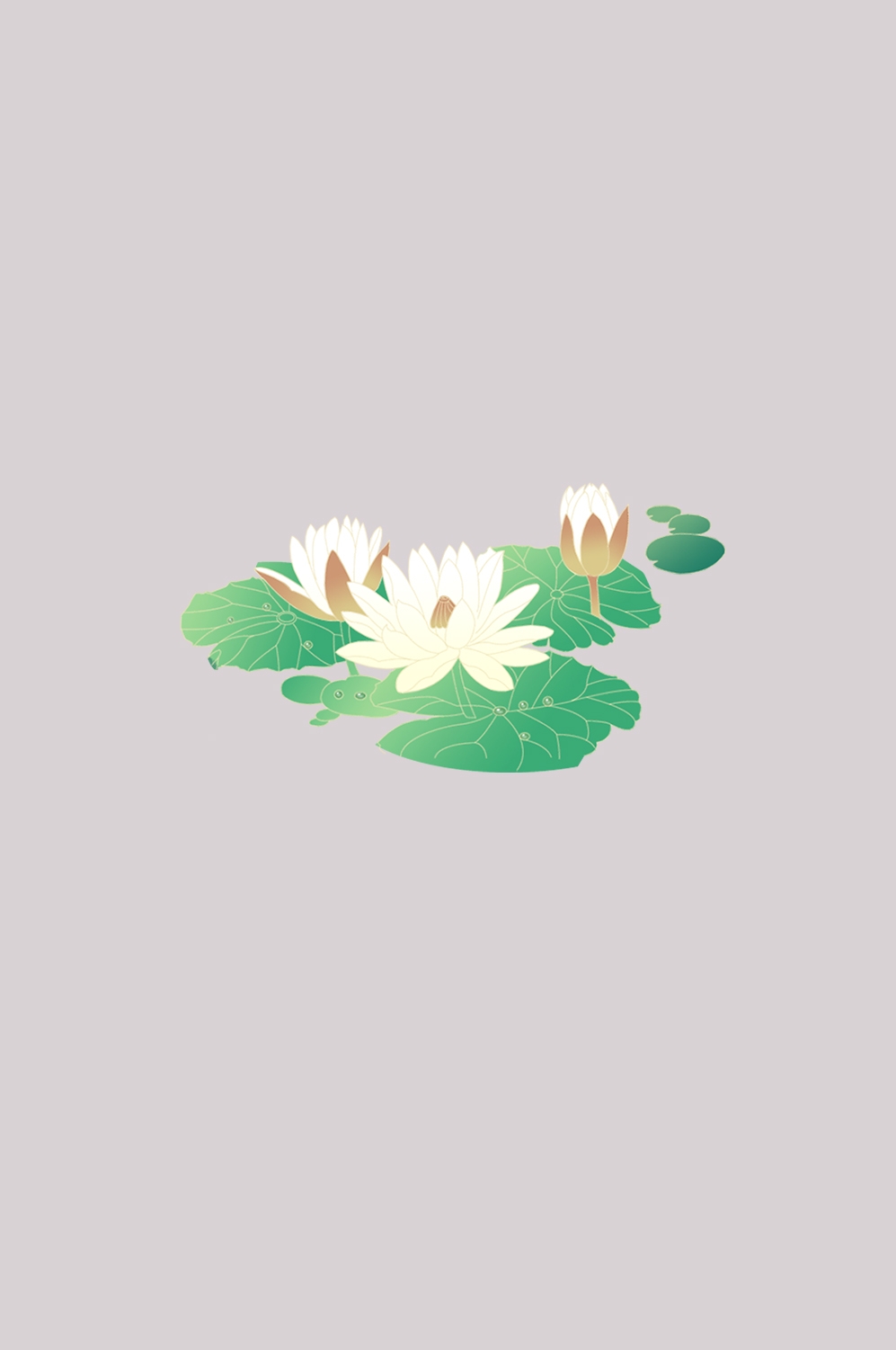 荷叶荷花素材插画装饰元素透明背景免抠素材6