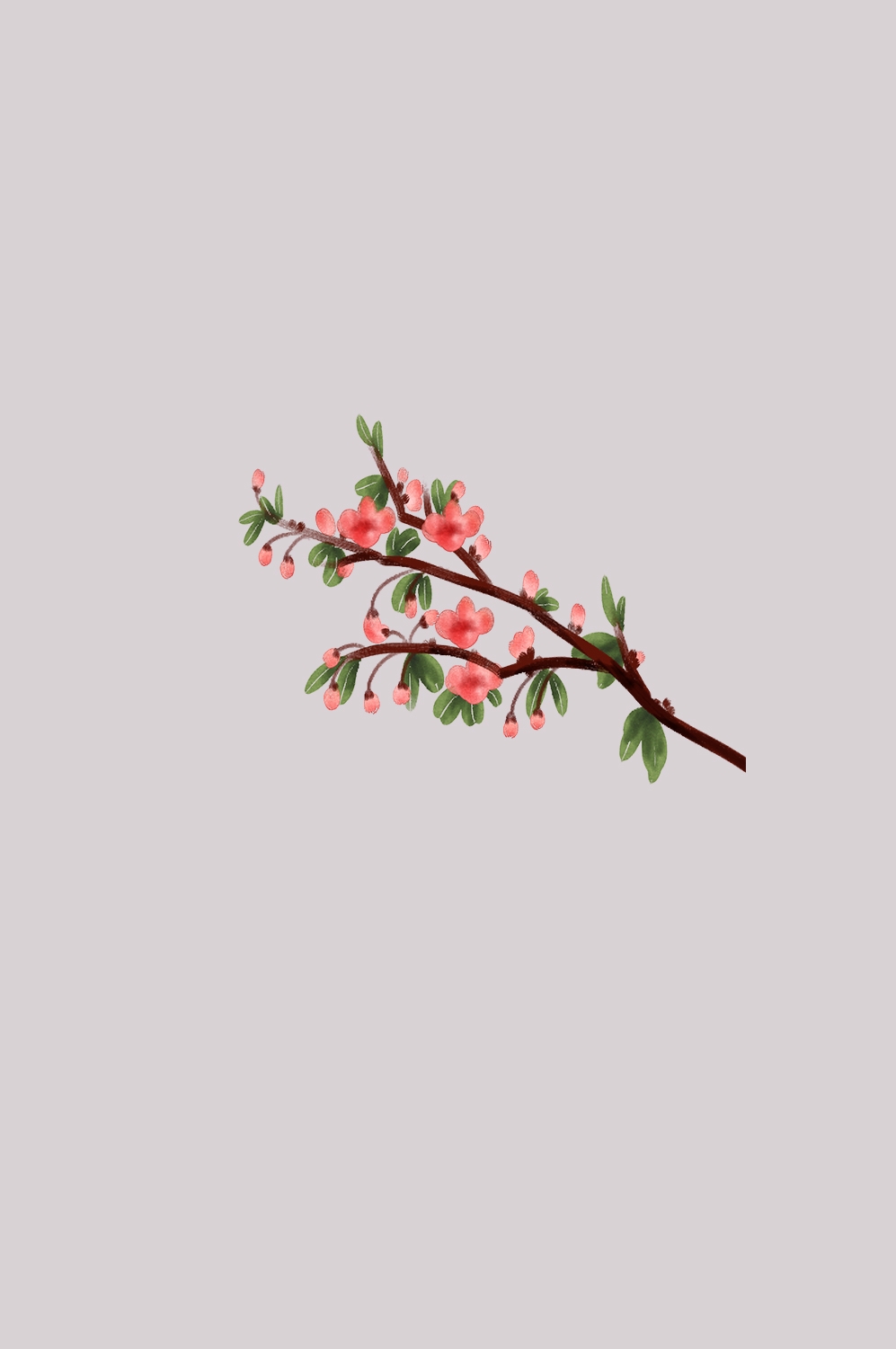 海棠花免抠元素装饰图案插画10