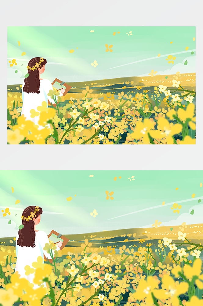 油菜花开田野风景背景插画图片banner海报16