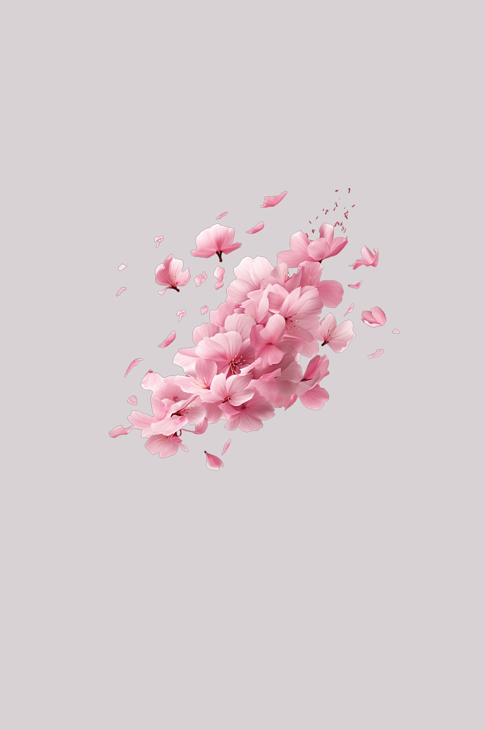 桃花素材图中国风海报设计桃树花枝透明背景91