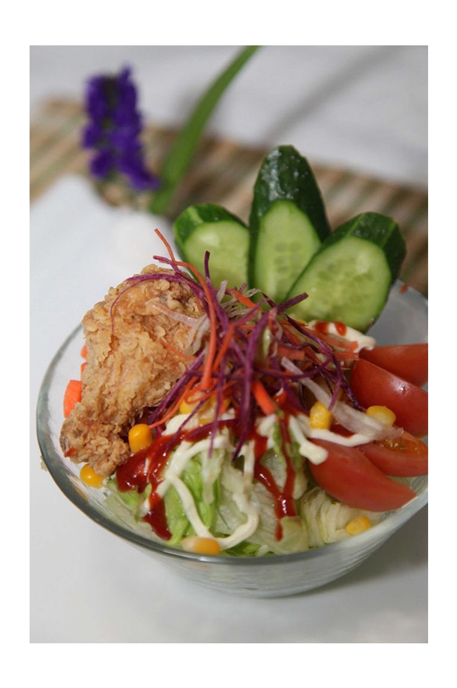 高清美食菜谱图片炸鸡腿鸡翅鸡块美工设计素材