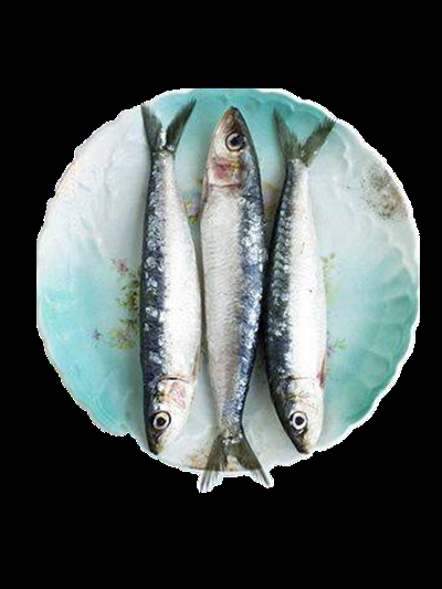 海鲜食材带鱼黄鱼素材图片元素插图免抠15