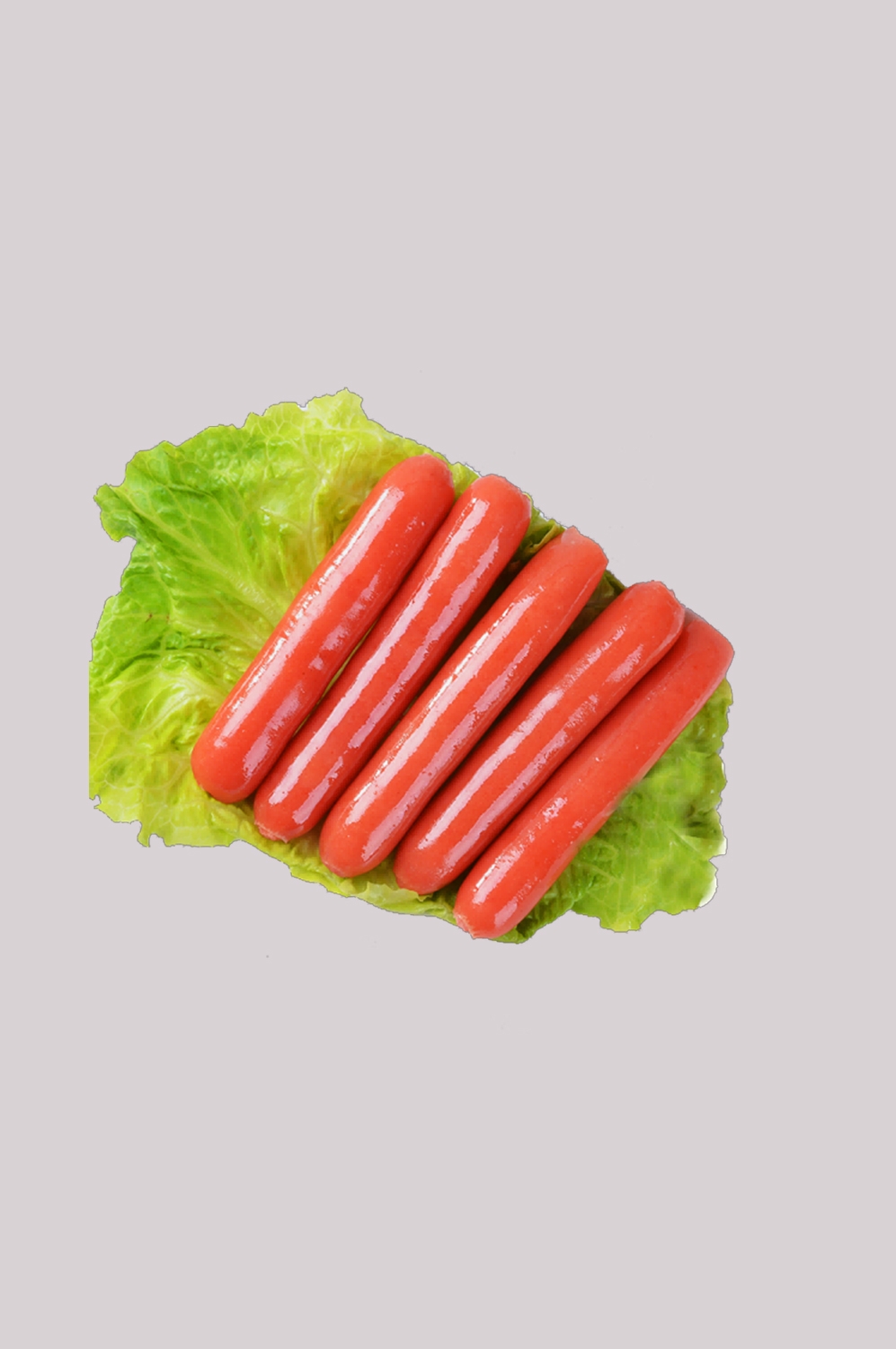 香肠烤肠火腿肠插画元素免抠素材19