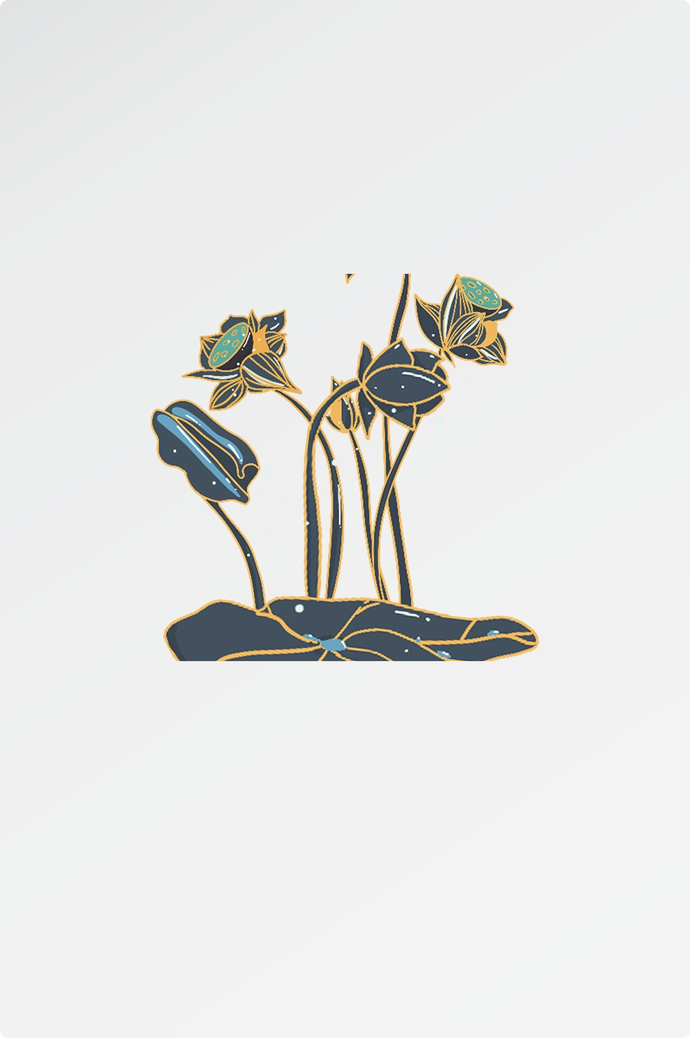 荷花荷叶素材图片插画装饰元素插图免抠7