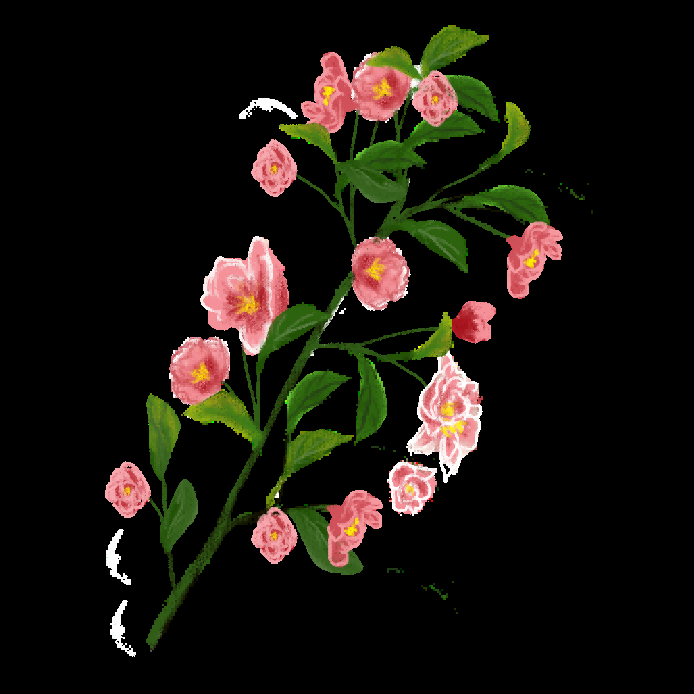 海棠花免抠元素装饰图案插画15