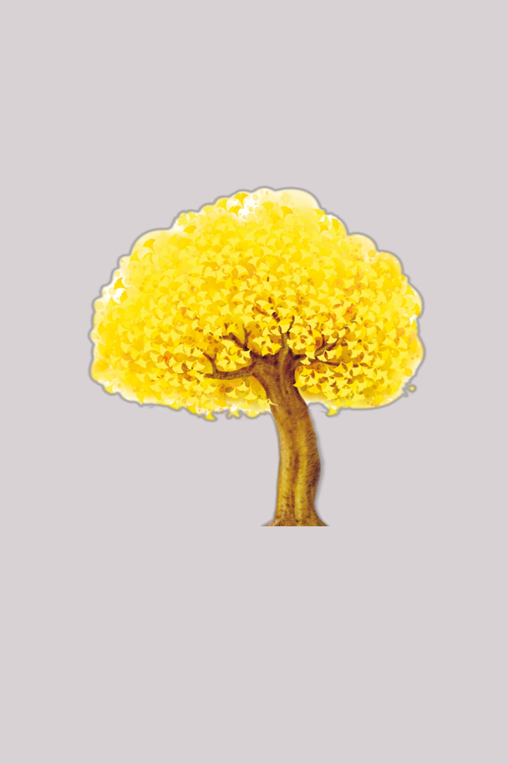 银杏叶树枝插画装饰元素免抠素材31