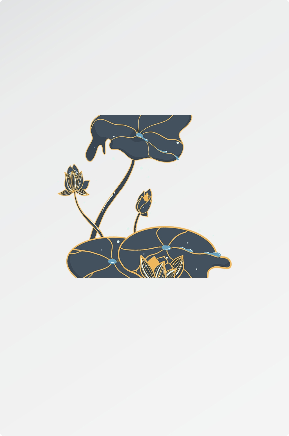 荷花荷叶素材图片插画装饰元素插图免抠28