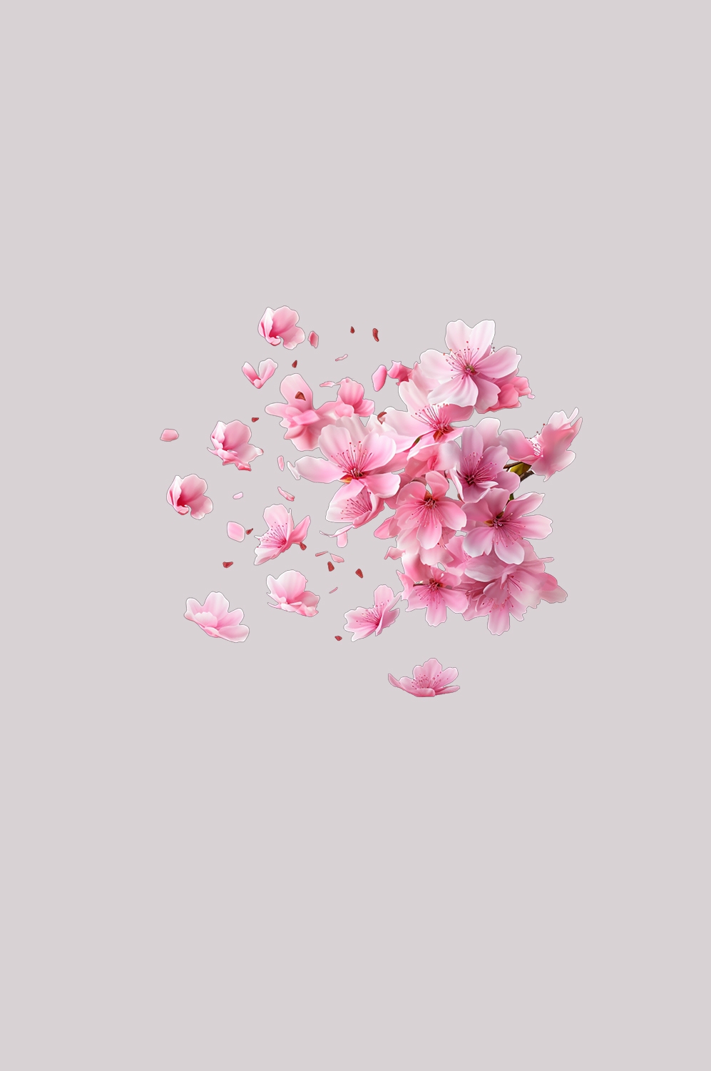 桃花素材图中国风海报设计桃树花枝透明背景86
