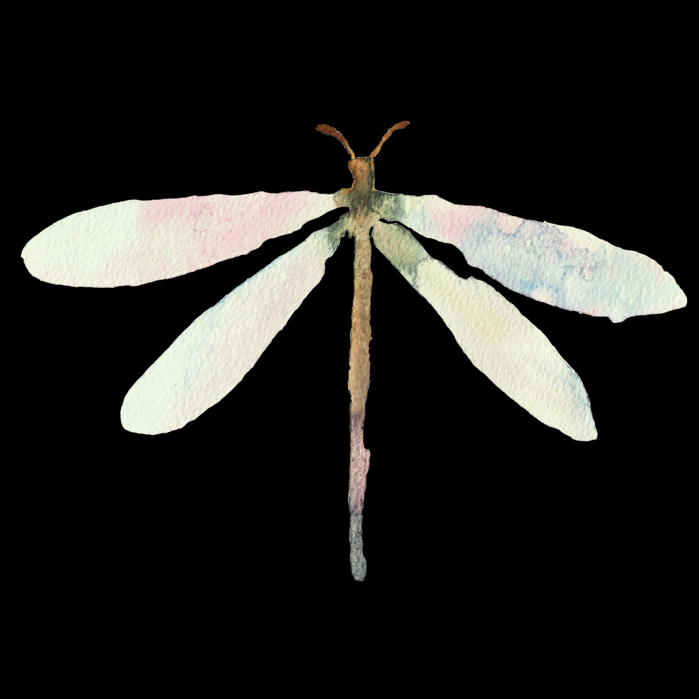 卡通手绘蜻蜓昆虫水墨画插画七彩蜻蜓图案免抠56
