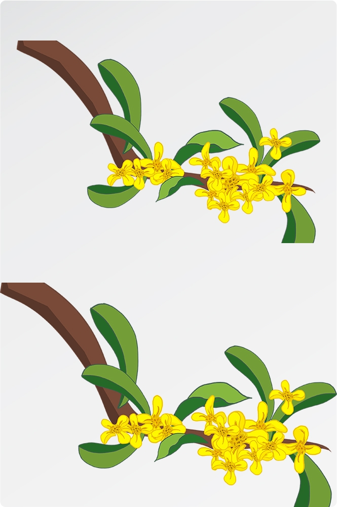 卡通手绘桂花花枝图案素材元素34