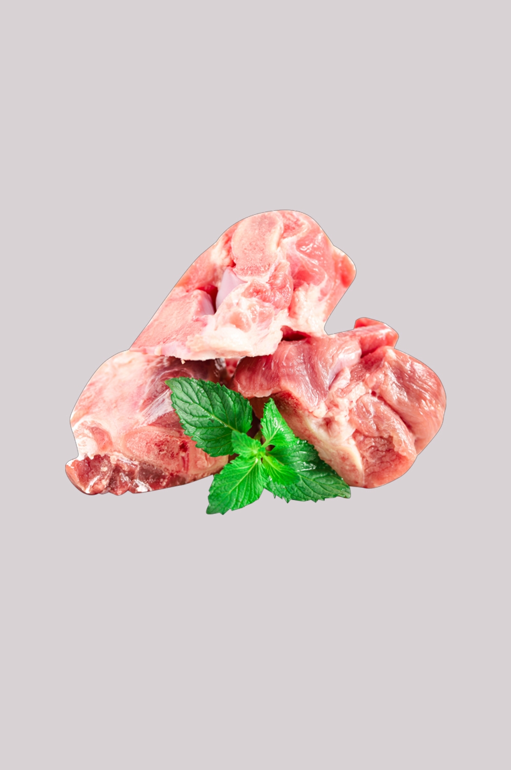 猪肉五花肉瘦肉排骨插画元素免抠素材79
