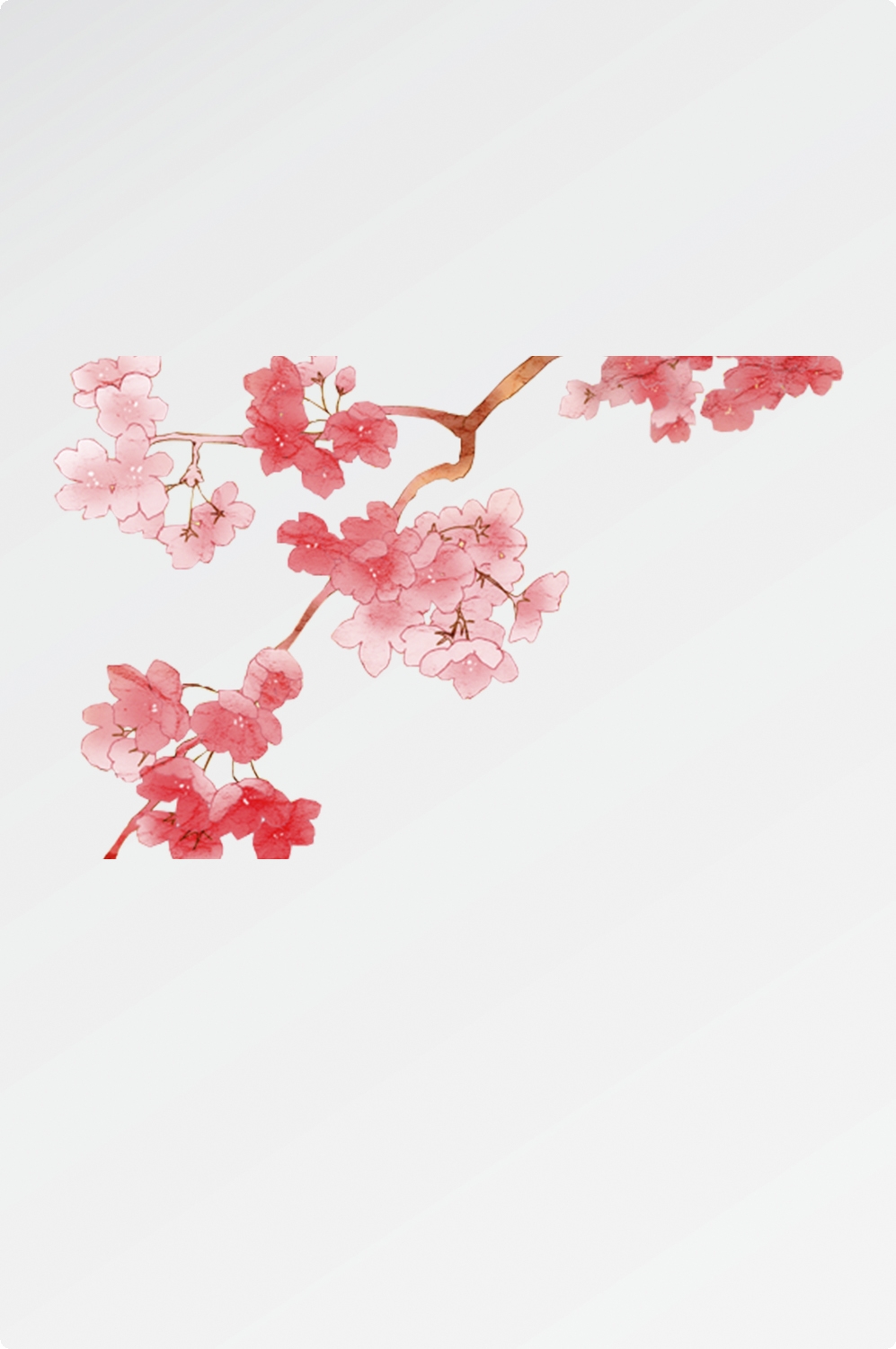 唯美樱花花树花枝樱花飘落图片装饰插图免抠11