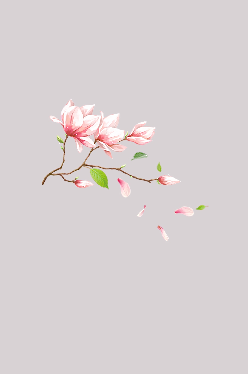 手绘淡雅玉兰花枝花朵装饰元素插图免抠素材25