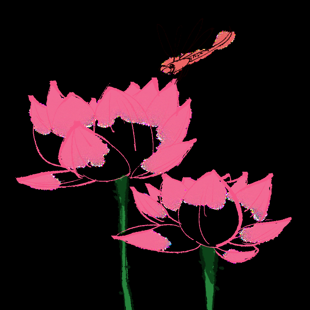 荷叶荷花素材插画装饰元素透明背景免抠素材48