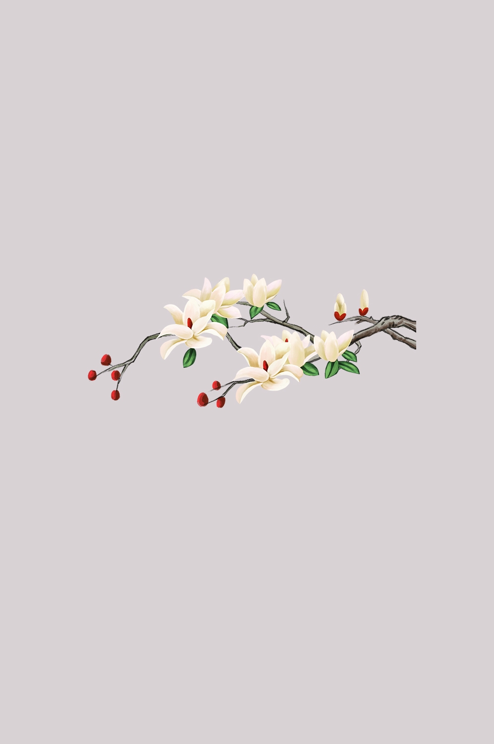 手绘淡雅玉兰花枝花朵装饰元素插图免抠素材22