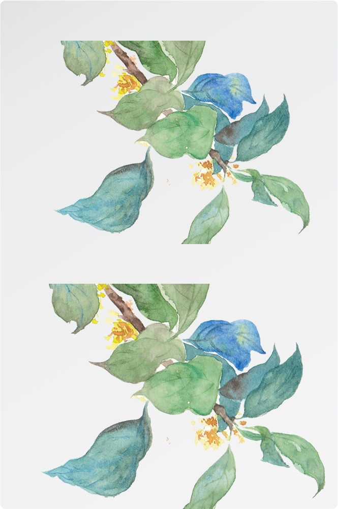 卡通手绘桂花花枝图案素材元素29