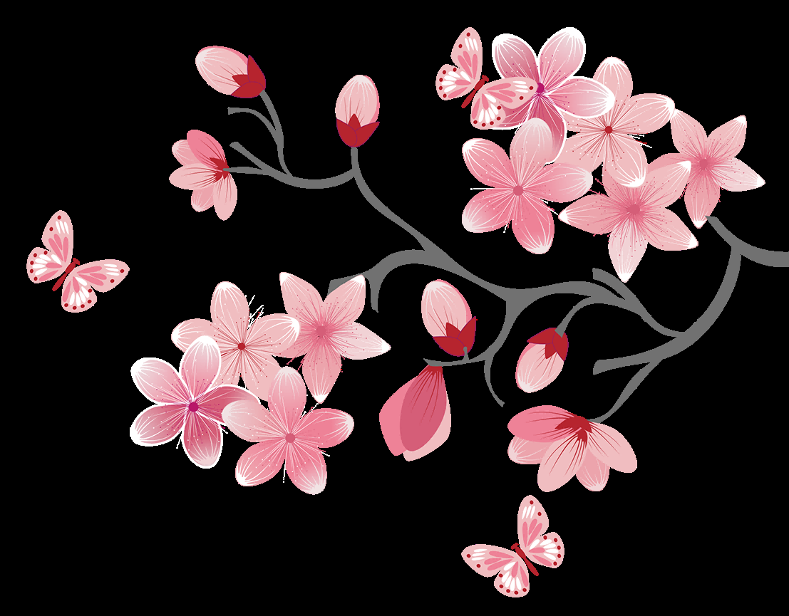 手绘淡雅玉兰花枝花朵装饰元素插图免抠素材11