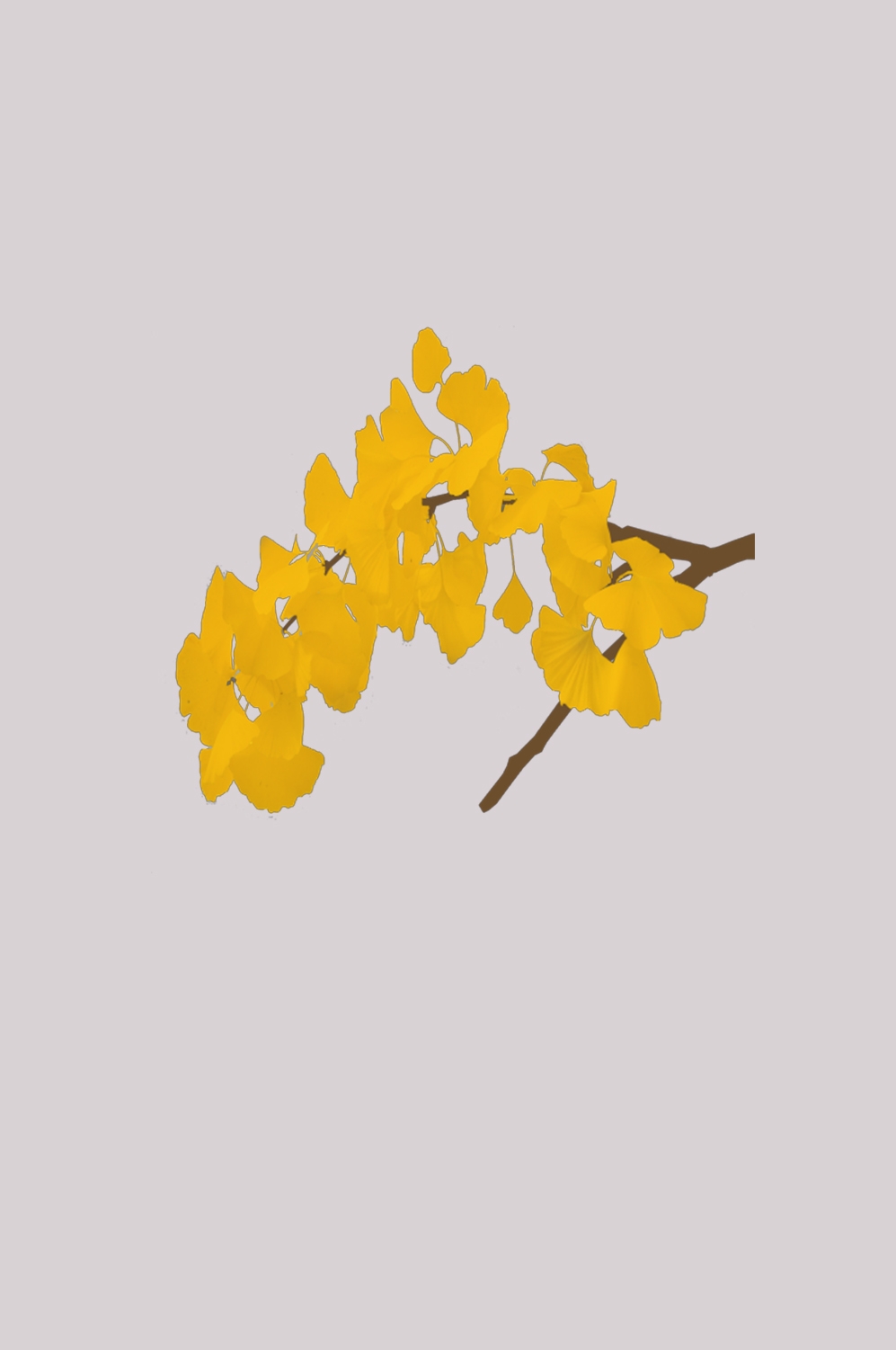 银杏叶树枝插画装饰元素免抠素材21