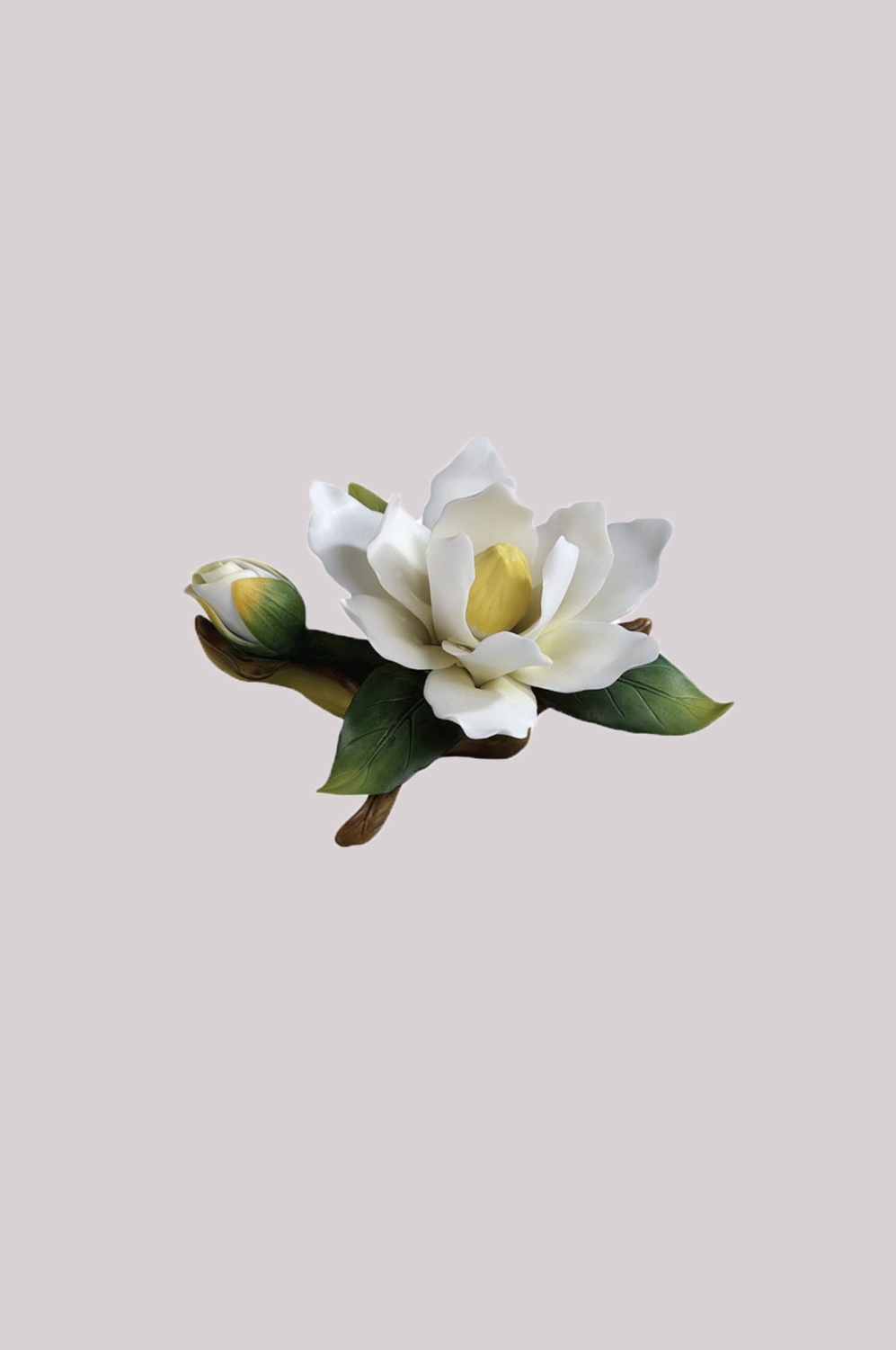 山茶花图片装饰图案插画素材14