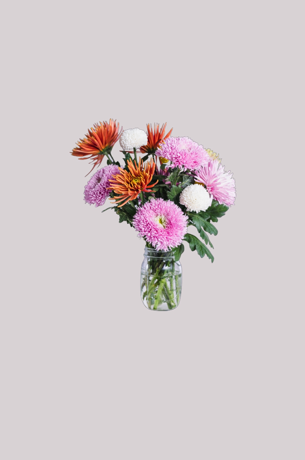 花瓶花艺装饰元素免抠素材25