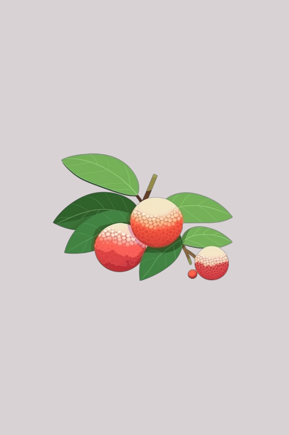 手绘荔枝图片素材装饰元素插画 png透明背景 (90)