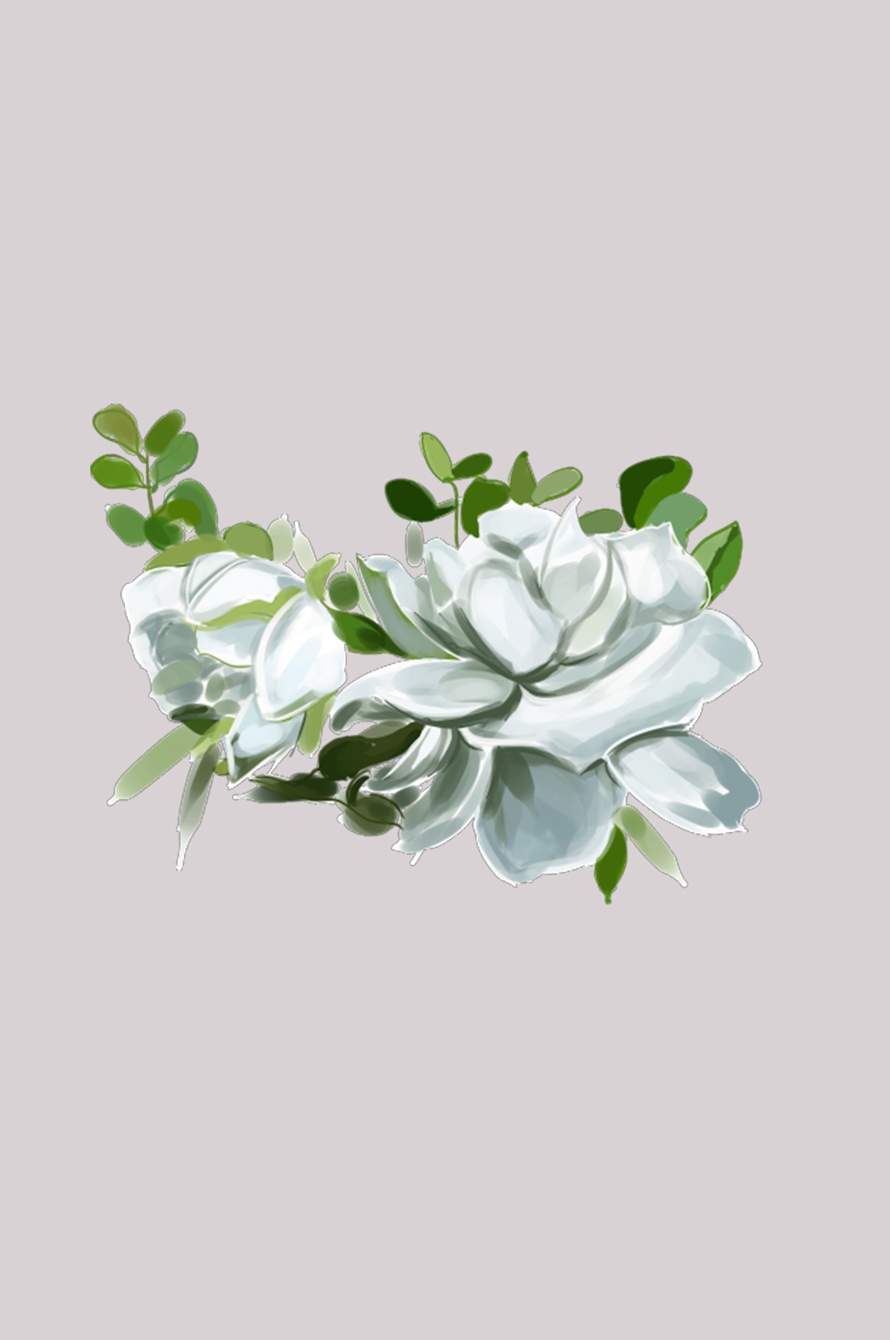 清新淡雅栀子花朵图片素材免抠元素18